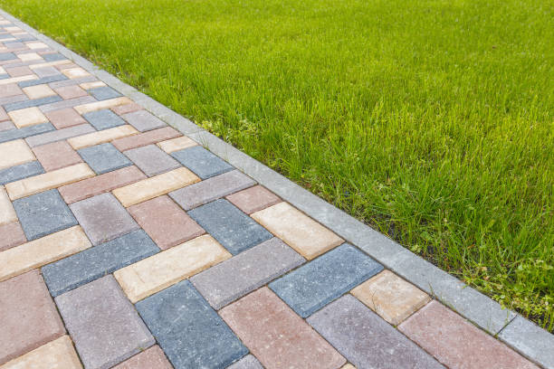 Best Residential Paver Driveway  in Warren, IL